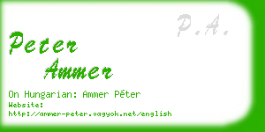 peter ammer business card